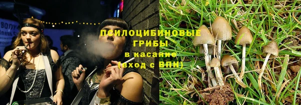 дживик Заводоуковск