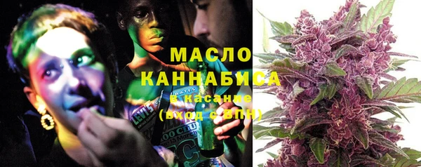 гидропоника Медногорск